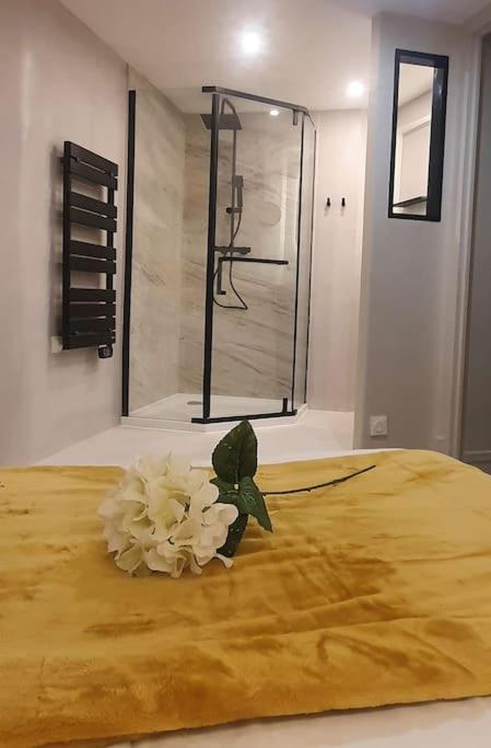Suite Vinicole Hypercentre, Bastille & Gare 9 Min A Pied Grenoble Buitenkant foto